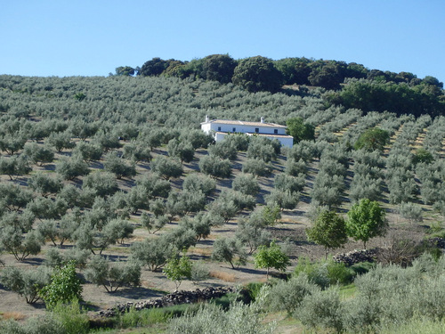 On the road to Montefrío.